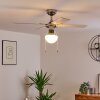 Ventilateur de plafond Valletta Chrome, Argenté, Blanc, 1 lumière