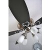 Ventilateur Globo JERRY Chrome, Acier inoxydable, Nickel mat, 5 lumières