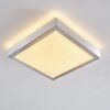 Plafonnier LED SORA Nickel mat, 1 lumière