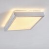Plafonnier LED SORA Nickel mat, 1 lumière