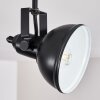 Plafonnier Tina Noir, 2 lumières
