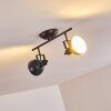 Plafonnier Tina Noir, 2 lumières