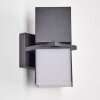 Applique murale d'extérieur Swanek LED Anthracite, 2 lumières