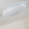 Plafonnier FOXES LED Blanc, 1 lumière, Télécommandes, Changeur de couleurs