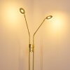 Lampadaire Gulkana LED Or, 2 lumières