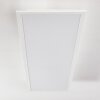 Plafonnier Antria LED Blanc, 1 lumière