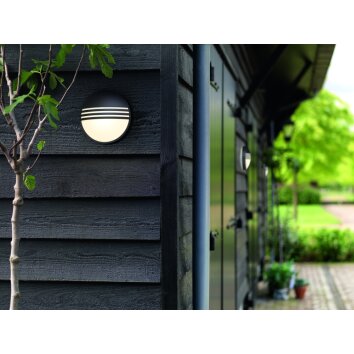 Applique murale d'extérieur Philips Yarrow LED Noir, 1 lumière