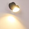 Applique murale d'extérieur Ripen LED Anthracite, 1 lumière