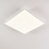 Plafonnier Antria LED Blanc, 1 lumière