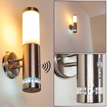 Applique murale d'extérieur Walise Acier inoxydable, 1 lumière, Détecteur de mouvement