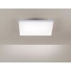 Plafonnier Paul Neuhaus FRAMELESS LED Blanc, 1 lumière, Télécommandes