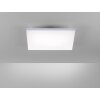 Plafonnier Paul Neuhaus FRAMELESS LED Blanc, 1 lumière, Télécommandes