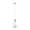 Suspension Eglo SABINAR Blanc, 1 lumière