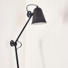Lampadaire Pany Noir, 1 lumière