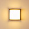 Applique murale d'extérieur Skove LED Anthracite, 1 lumière