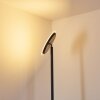 Lampadaire Wonsbek LED Noir, 1 lumière