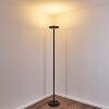 Lampadaire Wonsbek LED Noir, 1 lumière