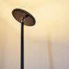 Lampadaire Wonsbek LED Noir, 1 lumière