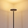 Lampadaire Wonsbek LED Noir, 1 lumière