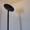 Lampadaire Wonsbek LED Noir, 1 lumière