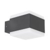 Lampe d'extérieur Globo SLICE LED Anthracite, 1 lumière, Changeur de couleurs