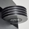 Applique murale d'extérieur Haslen LED Anthracite, 1 lumière