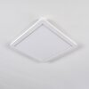 Plafonnier Siguna LED Blanc, 1 lumière