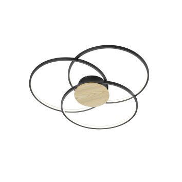 Plafonnier Trio Sedona LED Noir, 1 lumière