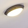 plafonnier extérieur Grafton Anthracite, 1 lumière