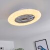 Ventilateur de plafond Petrovac LED Chrome, Blanc, 1 lumière, Télécommandes