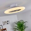 Ventilateur de plafond Petrovac LED Chrome, Blanc, 1 lumière, Télécommandes