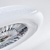 Ventilateur de plafond Petrovac LED Chrome, Blanc, 1 lumière, Télécommandes