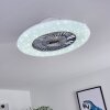 Ventilateur de plafond Petrovac LED Chrome, Blanc, 1 lumière, Télécommandes