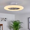 Ventilateur de plafond Petrovac LED Chrome, Blanc, 1 lumière, Télécommandes