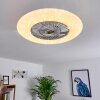 Ventilateur de plafond Petrovac LED Chrome, Blanc, 1 lumière, Télécommandes