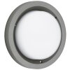 Plafonnier d'extérieur Albert 6410 LED Anthracite, 1 lumière