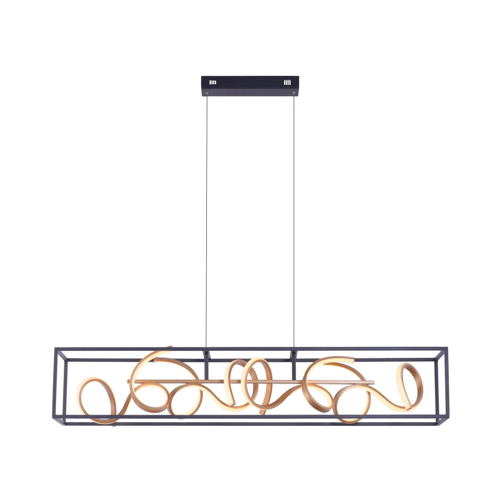 Suspension Paul Neuhaus SELINA LED Noir, 4 lumières main product photo