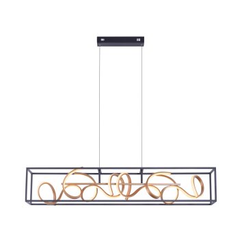 Suspension Paul Neuhaus SELINA LED Noir, 4 lumières