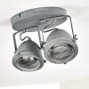 Plafonnier Glostrup LED Gris, 2 lumières