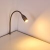 Lampe de chevet Alsea LED Nickel mat, 1 lumière, Détecteur de mouvement