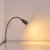 Lampe de chevet Alsea LED Nickel mat, 1 lumière, Détecteur de mouvement