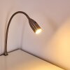 Lampe de chevet Alsea LED Nickel mat, 1 lumière, Détecteur de mouvement