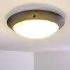 plafonnier extérieur Grafton Anthracite, 2 lumières
