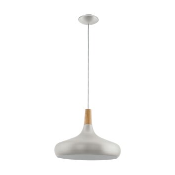 Suspension Eglo SABINAR Acier inoxydable, Argenté, 1 lumière