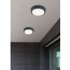 Applique murale Trio BREG LED Anthracite, 1 lumière