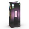 Borne d'éclairage, kit d'extension Philips Hue Ambiance White & Color Impress LED Noir, 1 lumière, Changeur de couleurs