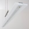 Suspension Lourdes LED Chrome, Nickel mat, 7 lumières