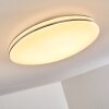 Plafonnier Genthin LED Blanc, 1 lumière