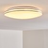 Plafonnier Genthin LED Blanc, 1 lumière