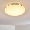 Plafonnier Genthin LED Blanc, 1 lumière
